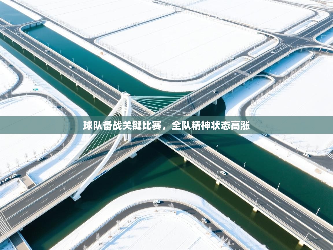 球队备战关键比赛，全队精神状态高涨  第1张