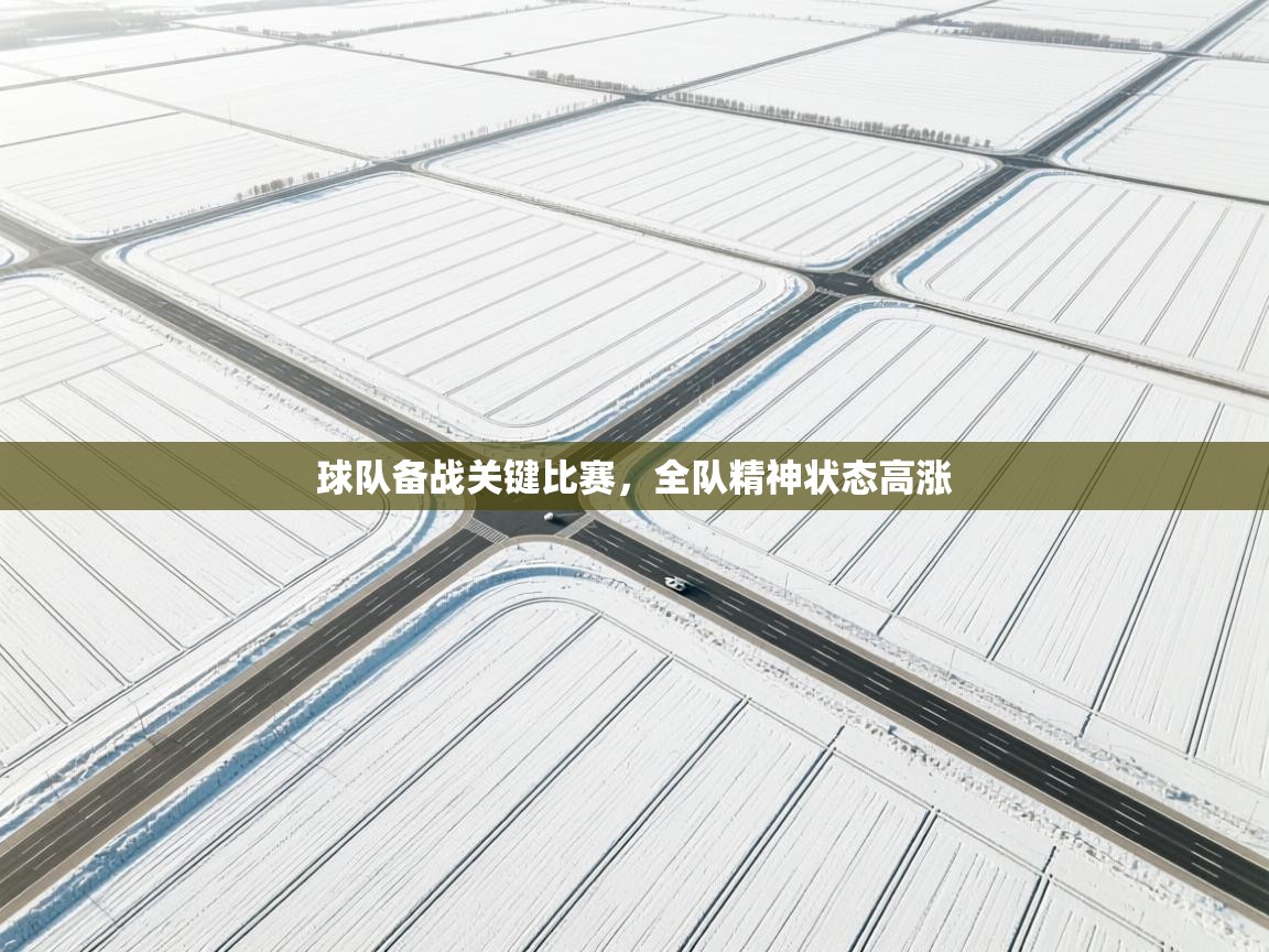 球队备战关键比赛，全队精神状态高涨  第2张