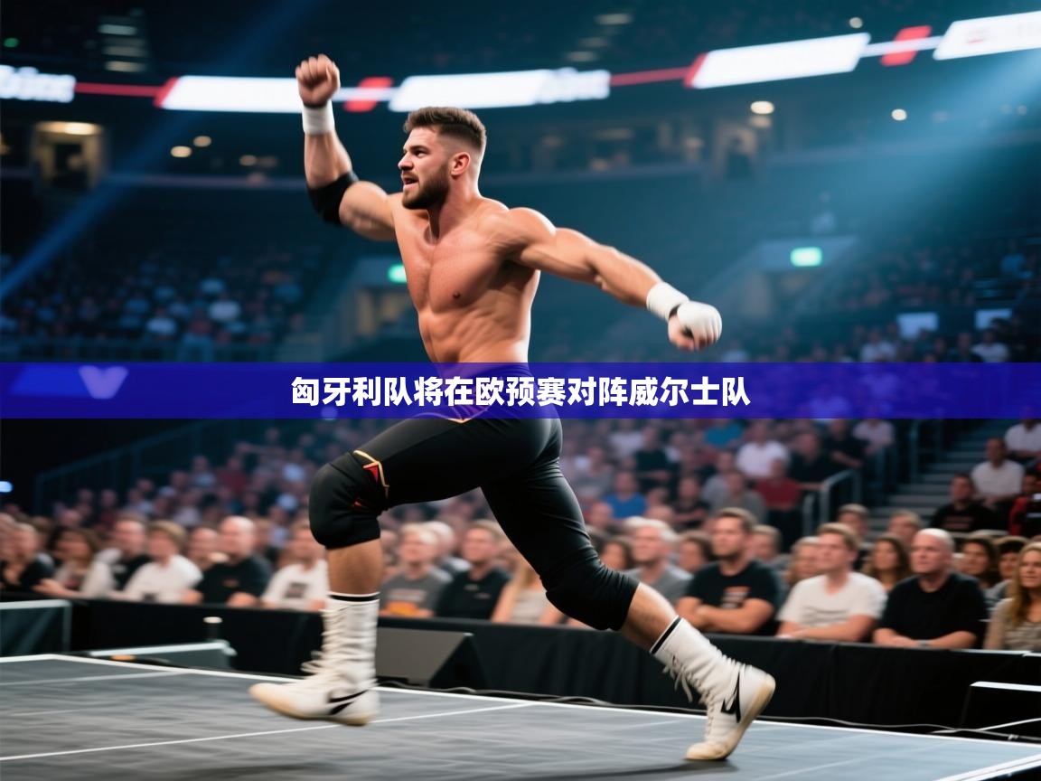 匈牙利队将在欧预赛对阵威尔士队  第2张