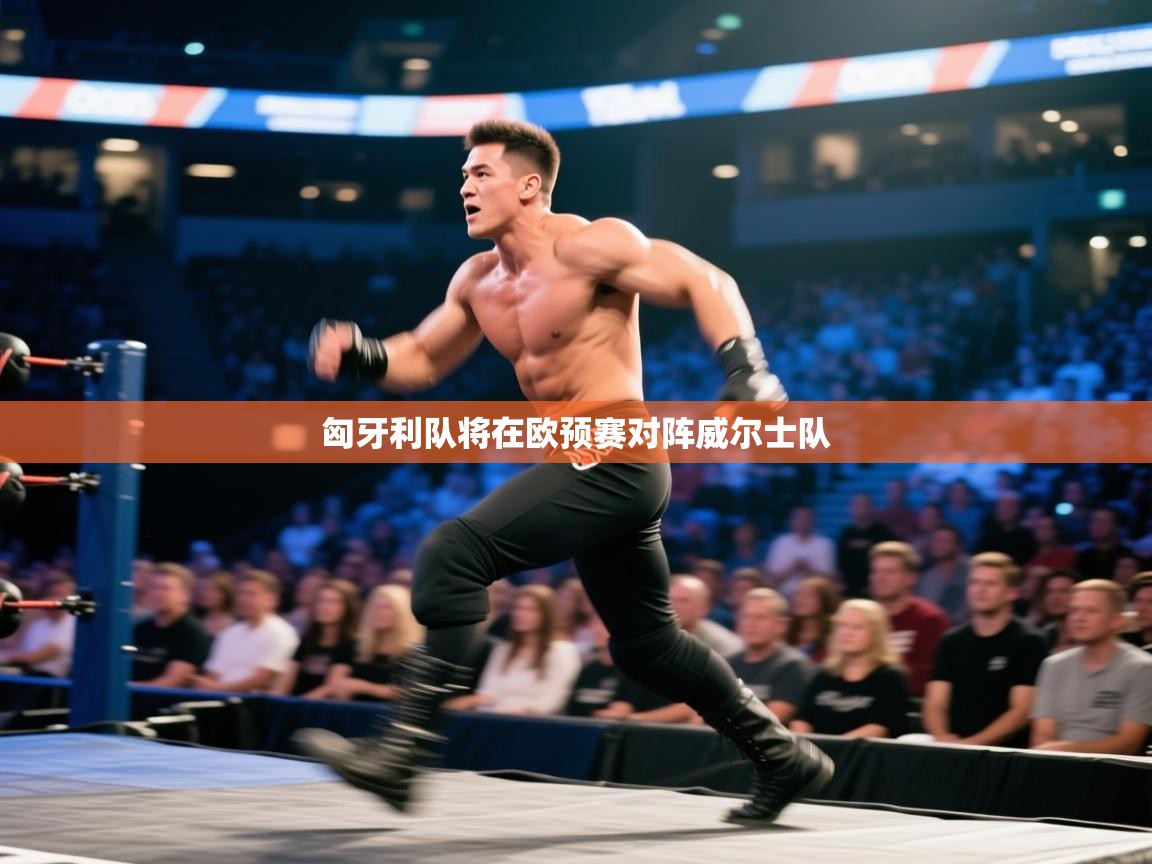 匈牙利队将在欧预赛对阵威尔士队  第1张