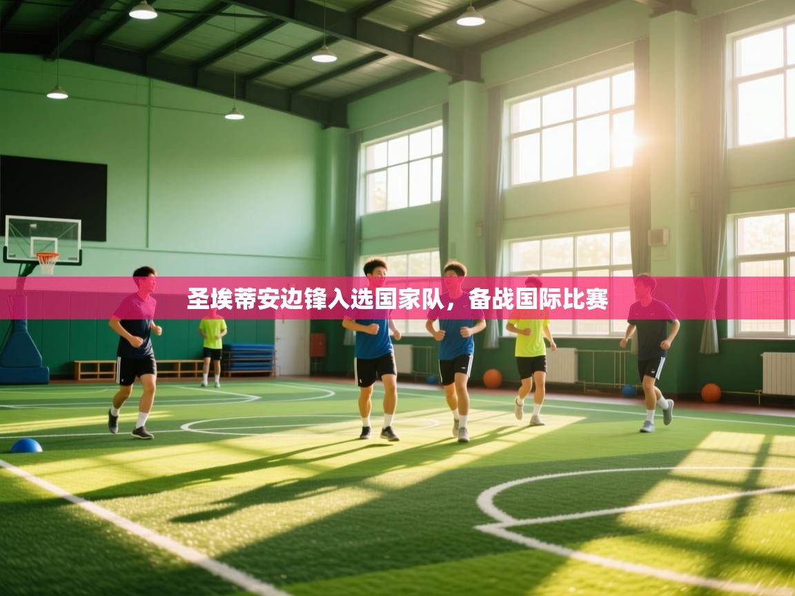 圣埃蒂安边锋入选国家队，备战国际比赛  第1张