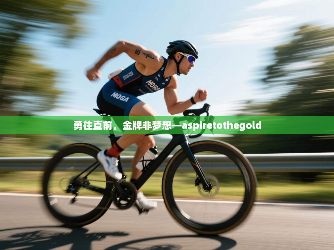 勇往直前,金牌非梦想—aspiretothegold 第2张